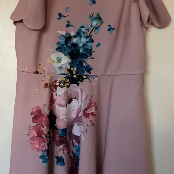 NWT Ted Baker Dress Raspbery Bardot Skater  size:5,  light pink,  painted flower - Picture 7 of 11